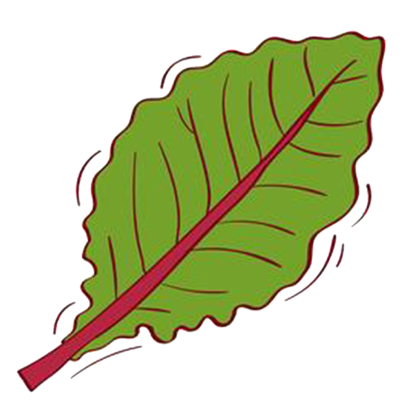 assets/images/logo/logo.png
